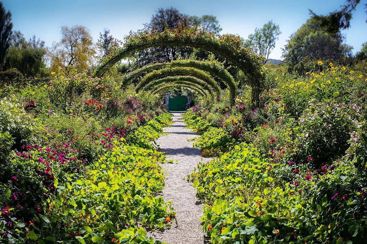 49T-jardins.monet