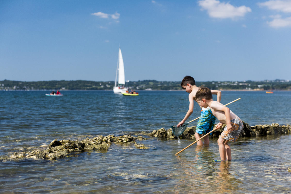 shell-hunting-in-logonna-daoulas