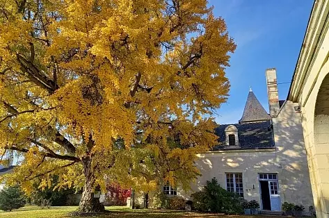 French manor house to rent in France